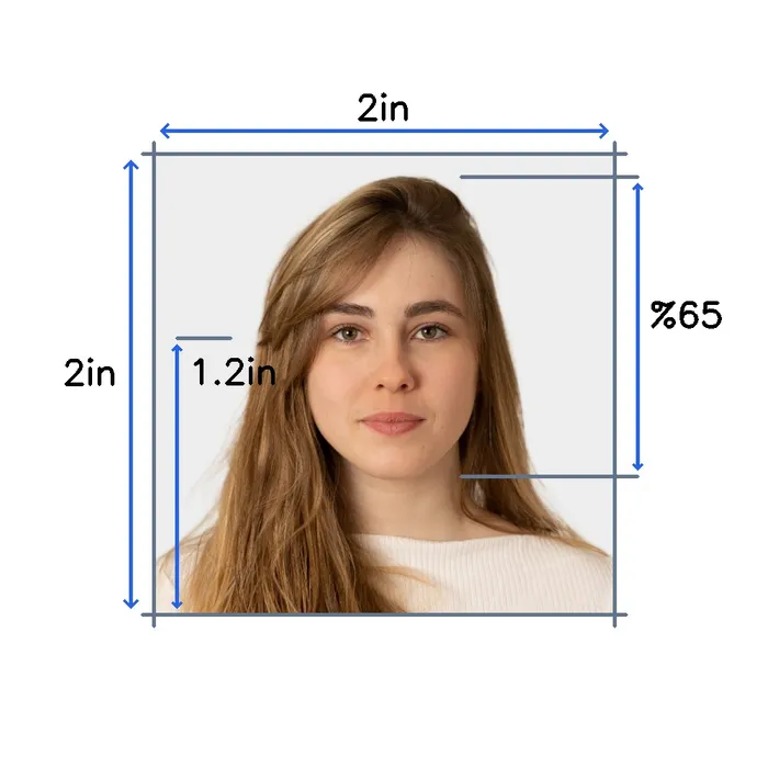 Passport photo requirements to create photo online