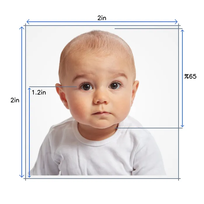 Passport photo requirements to create photo online