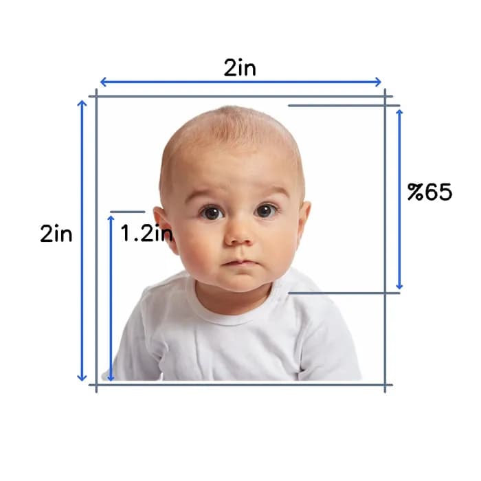 Passport photo requirements to create photo online